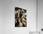 Depths And Details Acrylic Print