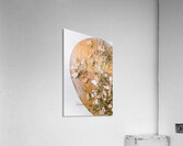 Falls Gold Acrylic Print