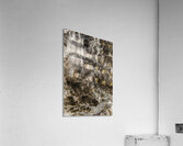 Shaped By Weather And Time Acrylic Print