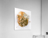 Autumns Palette Acrylic Print