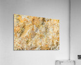 Flecks And Specks Acrylic Print