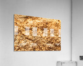 Rich And Vibrant Acrylic Print