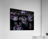 Deep Freeze Acrylic Print