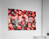 Frozen Strawberries Acrylic Print
