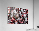 On Ice Acrylic Print