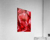 Raspberry Macro Photography Acrylic Print
