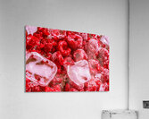 Raspberry Refreshment Acrylic Print