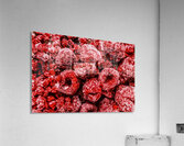 Frozen Raspberries Acrylic Print