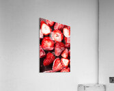 Frosty Sweetness Acrylic Print