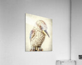 Outback Heights Acrylic Print