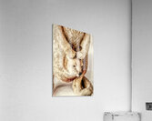 Rustic Country Calm Acrylic Print