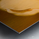 Wild orange Metal print