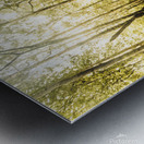 Tourist Hiking Mount Field Tasmania  Metal print