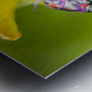 Beetle botanics Metal print