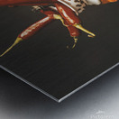 Old pepper mill Metal print