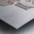 Full color fiction Metal print