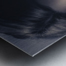 Dark fashion portrait. Female model in sunglasses Metal print