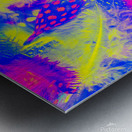 Rainbow radiance Metal print