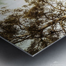 Gumtree bushland Metal print