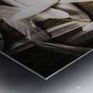 Soft symbol of peace and hope Metal print