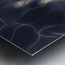 Tonical Entangle Metal print