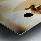 Summer surf scenes Metal print