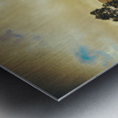 Sentinel Range Tasmania Metal print