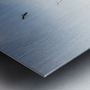 New Norfolk scenes Metal print