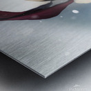 Christmas woman cooking up winter food idea Metal print