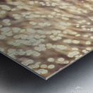 The fall and the light merger Metal print