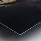 Elf sharing the magic of christmas Metal print