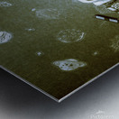 An American Story Metal print