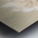 Soft pastel flower Metal print