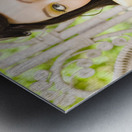 Vintage Telephone Metal print