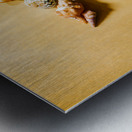 Seahorse art abstract Metal print