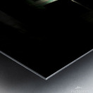 Haunted Clown House Metal print