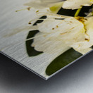 Japanese flower art Metal print