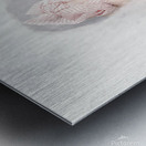 Curious Housewife Cleaning Home Window With Love Metal print