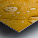 Leafy tropics Metal print