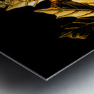 Kingdom in fall Metal print