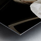 Deadly Duplications Metal print