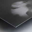 Ornate colourless weathered wild flowers Metal print