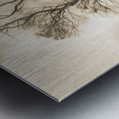 Mystery tree in a dark scary forest Metal print