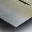 Rugged rocky cape Metal print