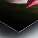 Partied out party animal Metal print