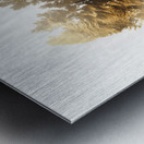 Finding spirit within Metal print