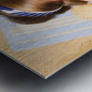 Hot retro pinup girl lying on beach in Australia Metal print