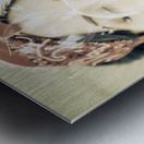 Inflation And Bust Metal print