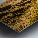 Rugged mountain trail Metal print