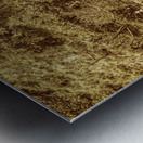 Woodland walk Metal print